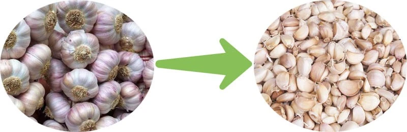 garlic separate garlic separate