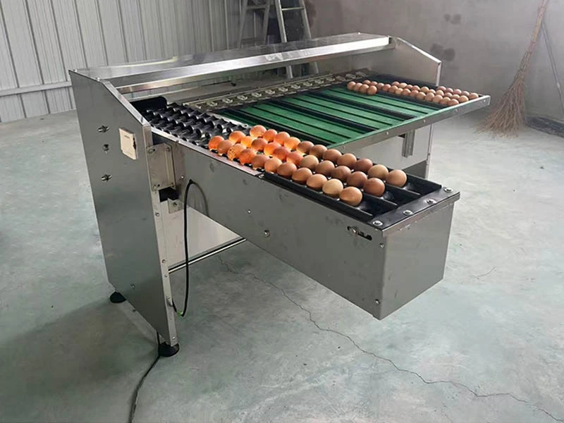 egg sorter egg sorter